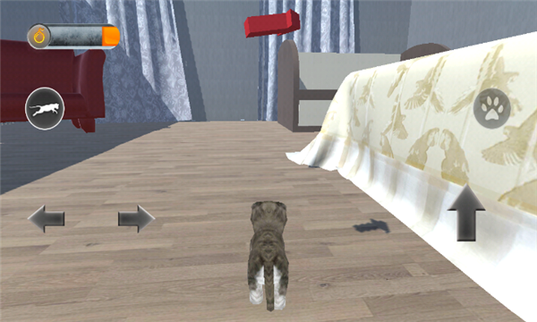 ؈ģM3D֙C(Cat Simulator 3D)